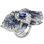 Кольцо с жемчугом и бриллиантами, белое золото