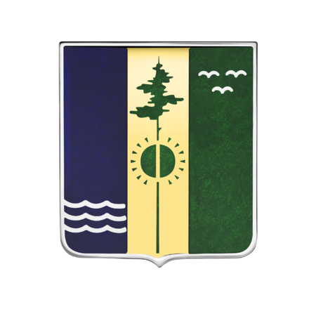 Нагрудный знак, белое и жёлтое золото 585 пробы, н.керамика