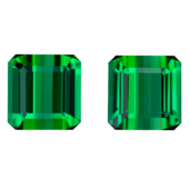 Сет из двух турмалинов верделитов, Октагон, 2 шт. 27,94 ct