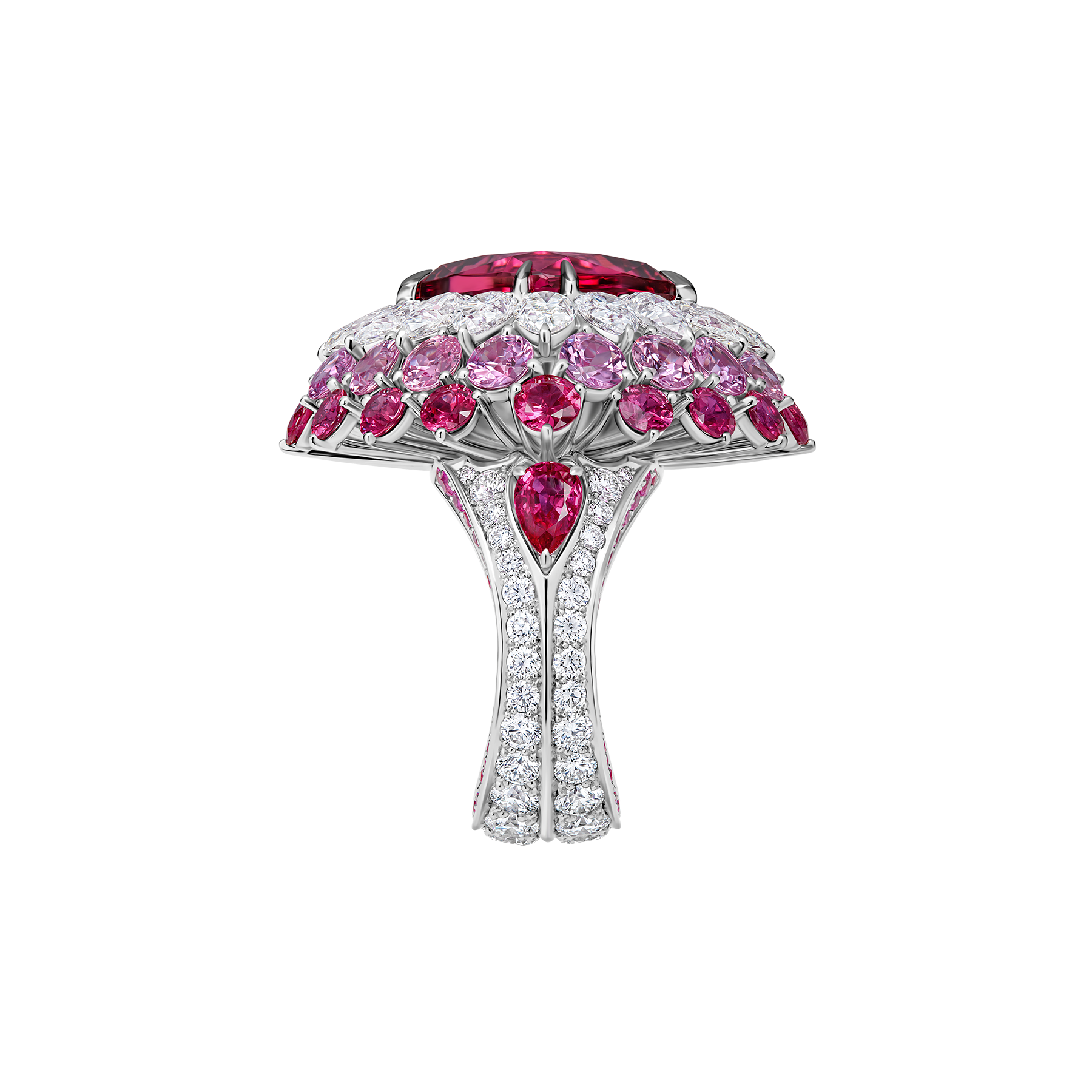 Кольцо с турмалином рубеллитом, рубинами, розовыми сапфирами и бриллиантами, белое золото